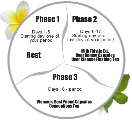 Cleanse schedual