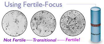 Fertility Microscope