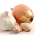 Onions and Garlic are Prebiotics