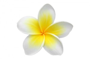 Self Fertility Massage