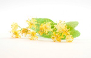 istock_000006241728xsmall