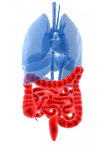 Self Fertility Massage massages the organs