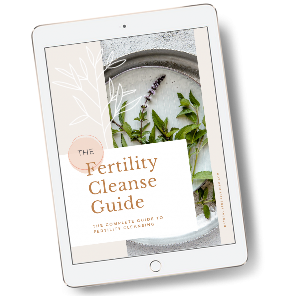 Fertility deals cleanse kit