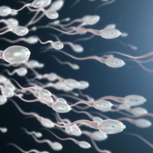 Sperm: 10 Interesting Facts Everyone Should Know