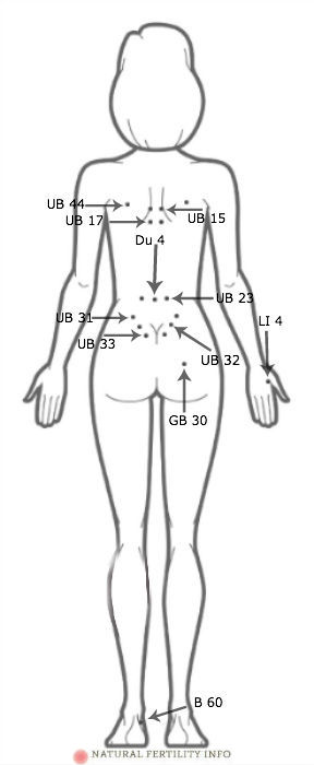 Sexual Pressure Points Chart