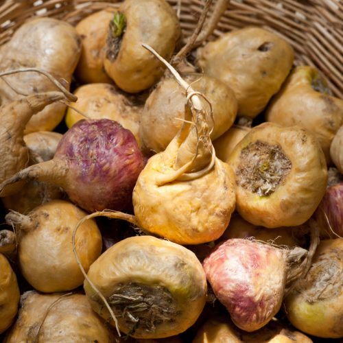 Maca for Fertility Q&A