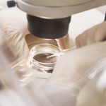 Embryologist transferring egg IVF