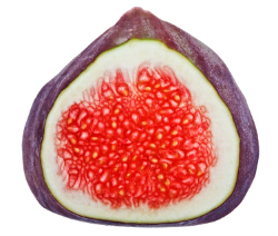 Fertility Diet Tip: Dried figs are an excellent dietary source of magnesium.