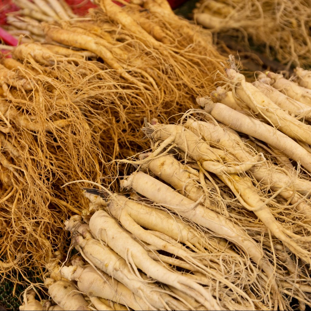 American Ginseng Male Fertility Tonic