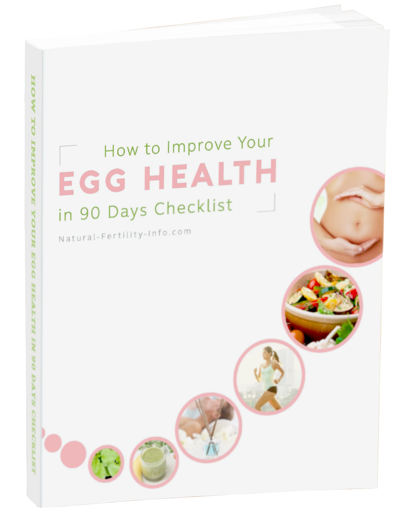 How to Improve Your Egg Health in 90 Days Checklist