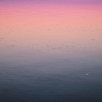 cervical mucus