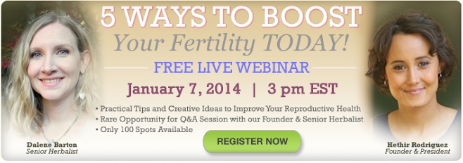 5 Ways to Boost Your Fertility Webinar