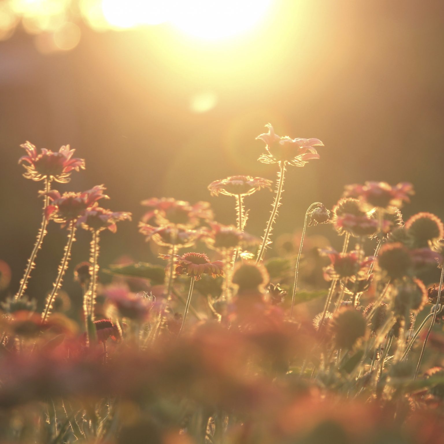 Infertility Due to Being Underweight