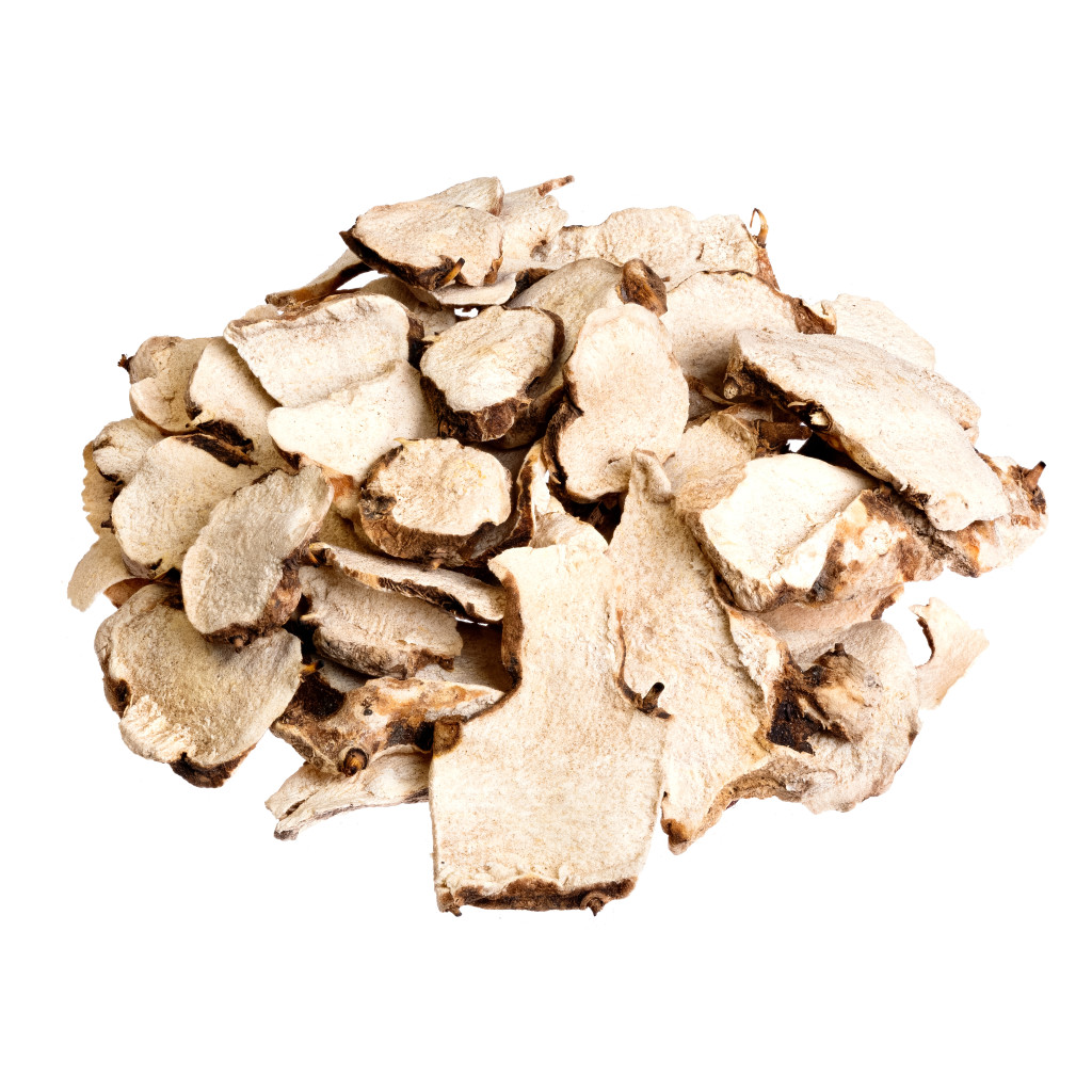 7 LittleKnown Fertility Benefits of Dong Quai Natural Fertility Info