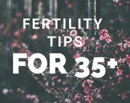 Homepage Natural Fertility Info Com Natural Fertility Info Com