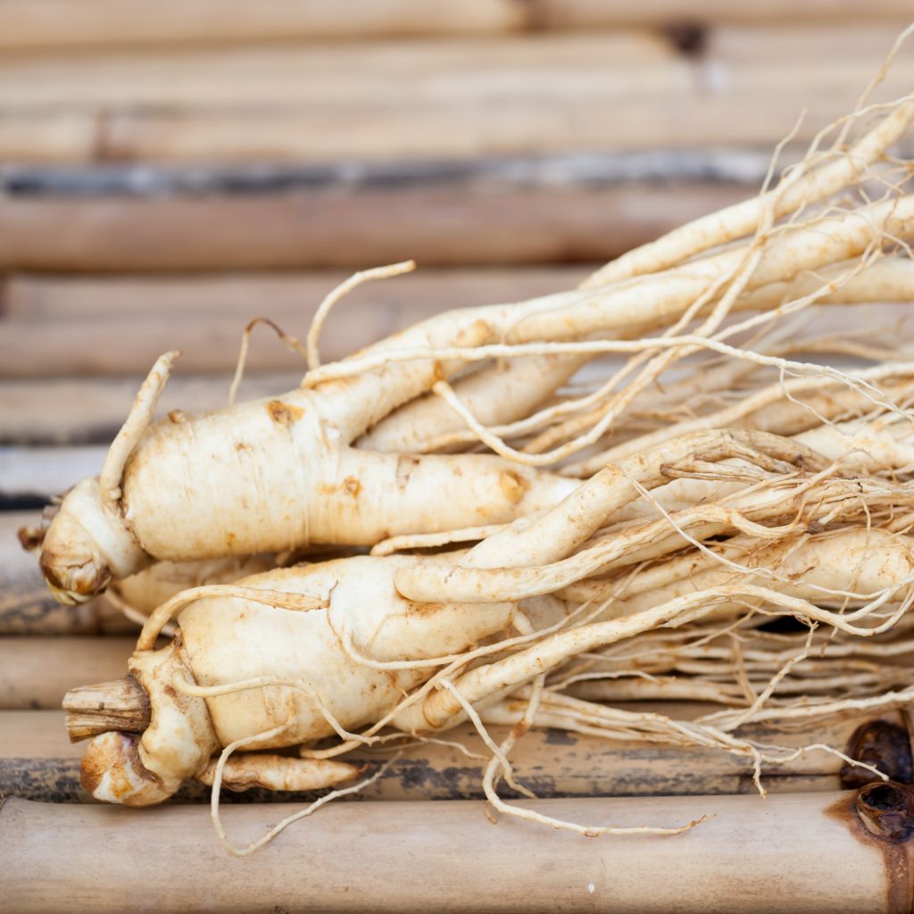 The Fertility Benefits of Ginseng