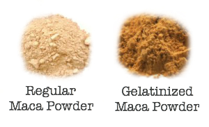 gelatinized maca powder
