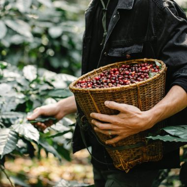 Seeking Treatment for Weak and Thin Penis 12 answers from Ayurvedic Doctors