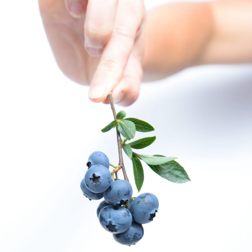 vitex and pcos success story vitex and pcos success story