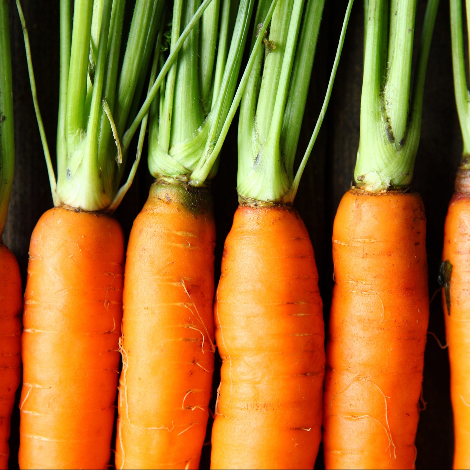 Fertility Diet Tip Why Carrots Are a Fertility Superfood