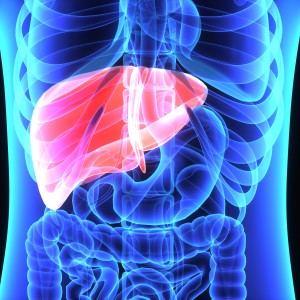 Why Liver Health Is Important To Your Fertility Natural Fertility Info Com Natural Fertility Info Com